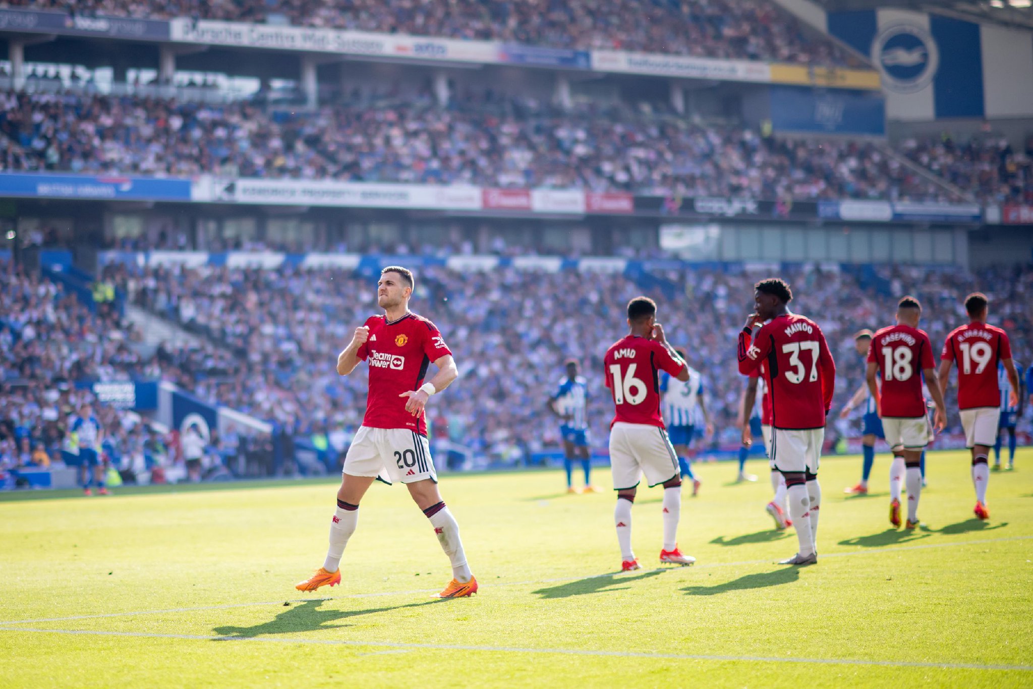 曾遭遇过巨 曾遭遇过巨